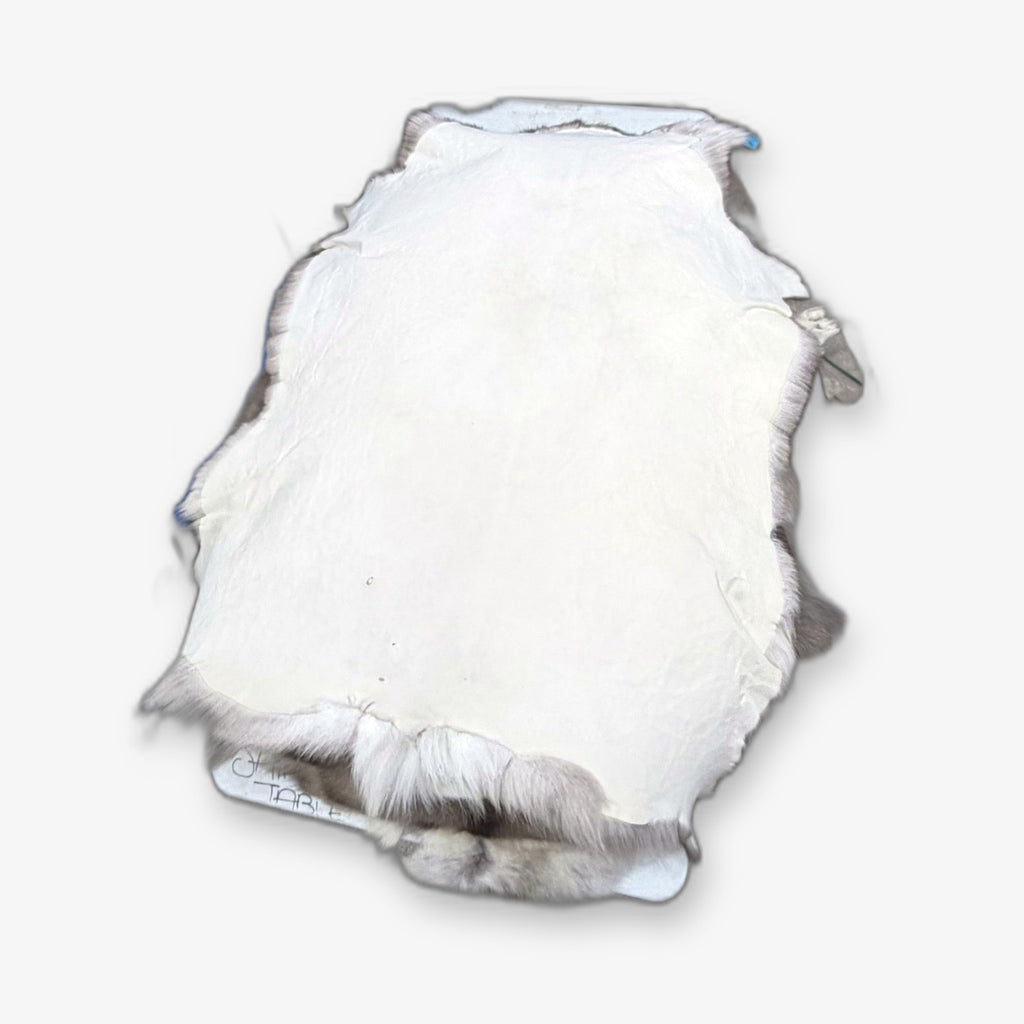 Caribou hide, tanned skin side
