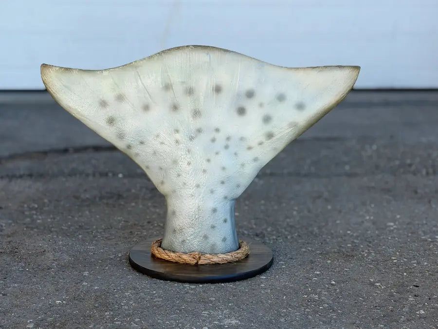 Halibut tail sculpture reproduction on a dark round wood base with a rope ring